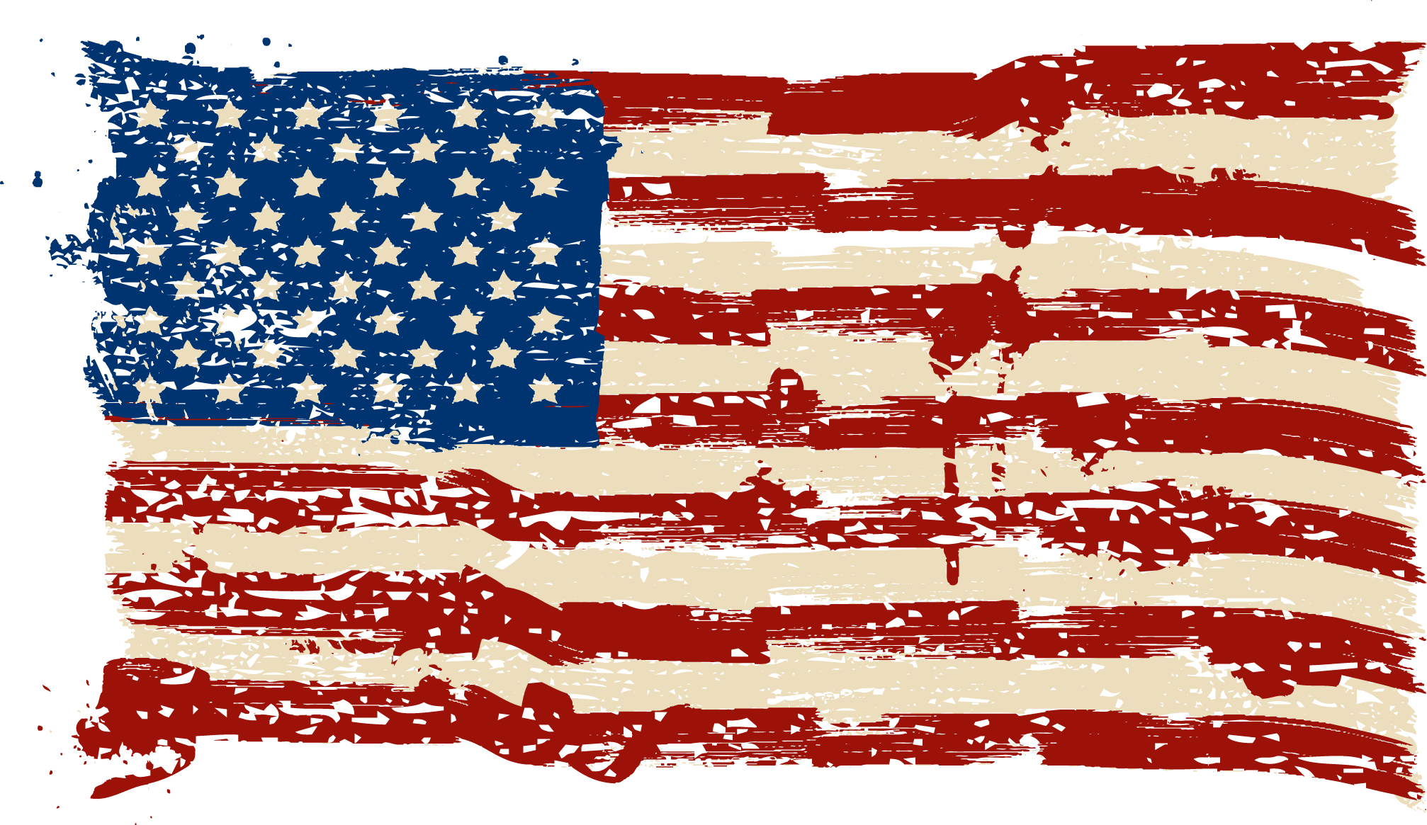 American Flag Tattered and Worn 2