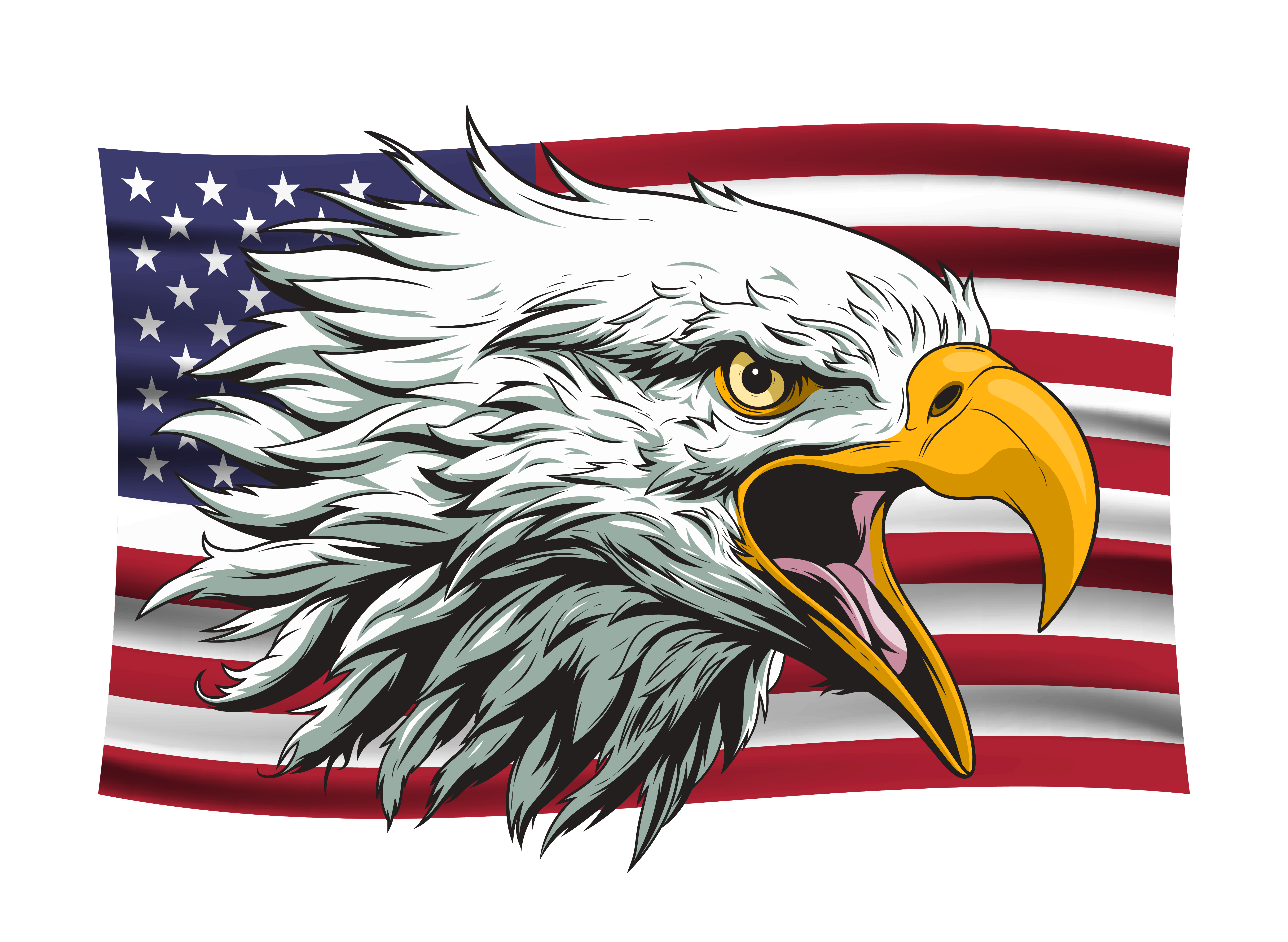 Angry Eagle With Flag