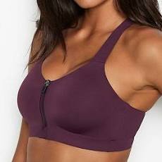 Vic Secret Max Sport Bra