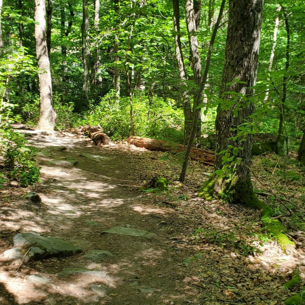 Ferncliff Trail