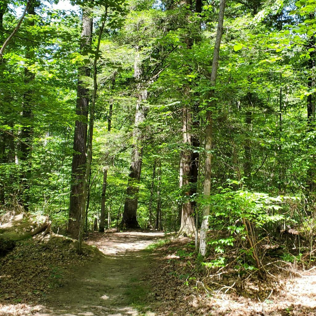 Ferncliff Trail