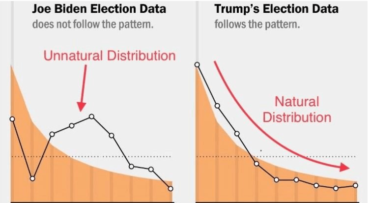 Voter Fraud In The 2020 Election 1