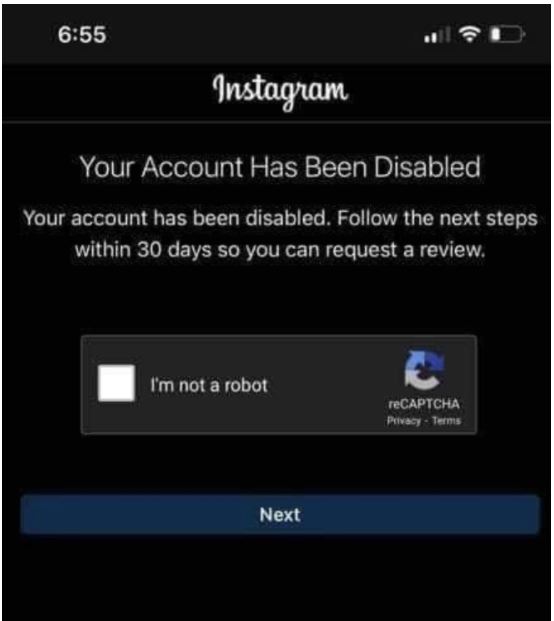 Instagram Disables Gold Star Mom'S Page 4