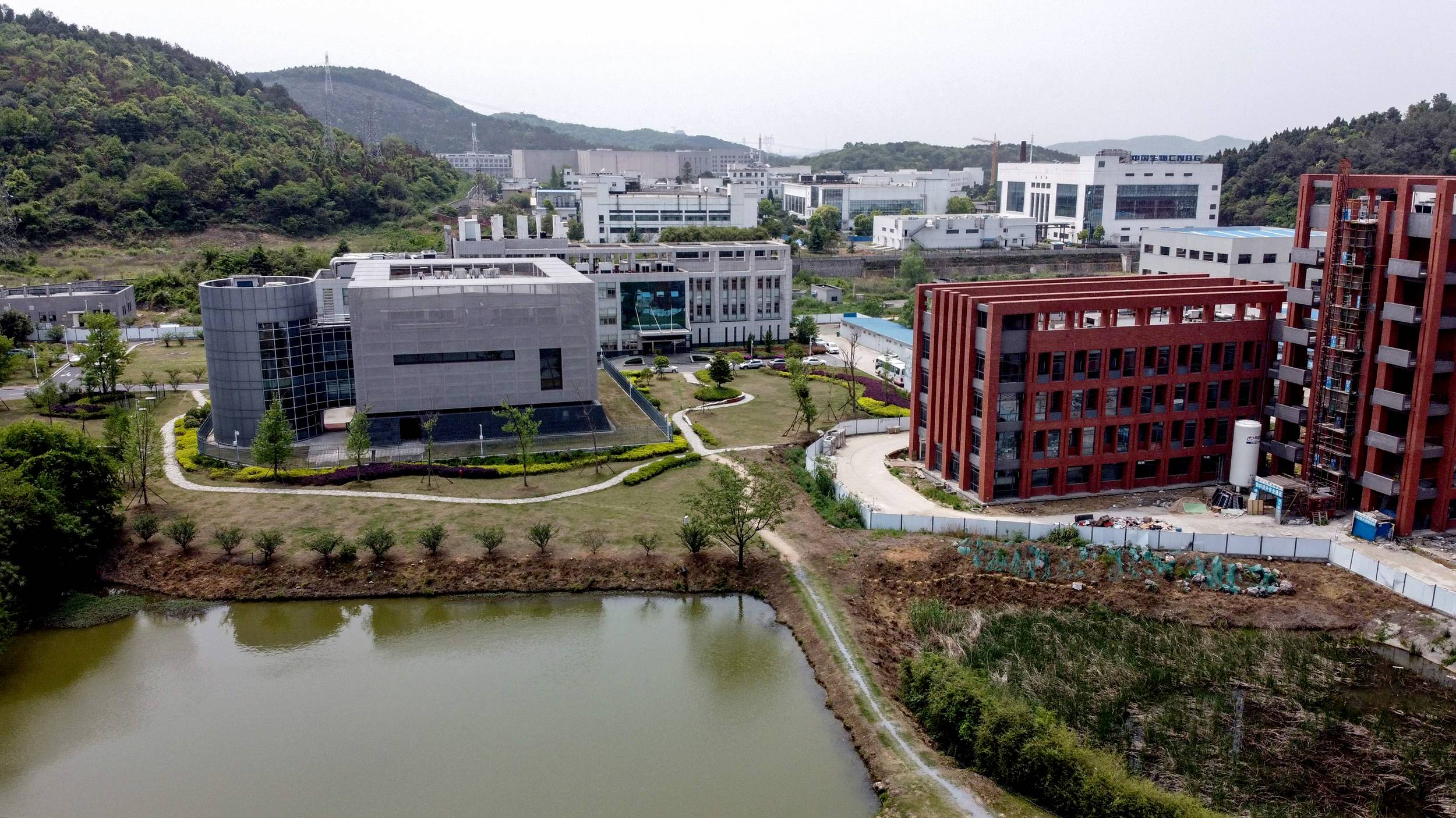 Wuhan Institute Of Virology Experimented On Monkepox Shortly Before Outbreak 2