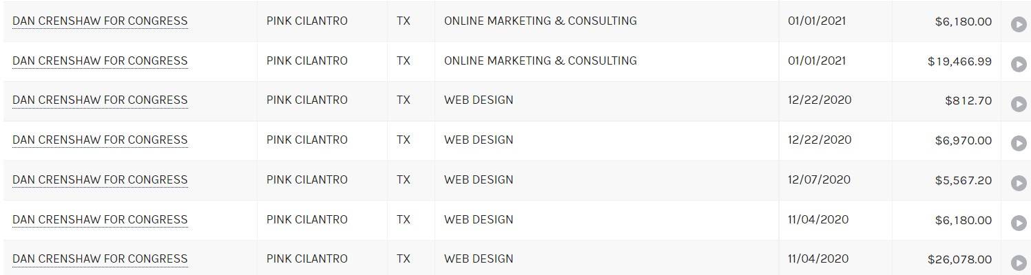 Texas Representative Dan Crenshaw'S Campaign Paid Firm, Pink Cilantro, That Employs His Wife More Than $350,000 2