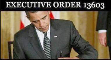 Is Executive Order 13603 a Threat to Individual Liberties and Constitutional Rights? 7
